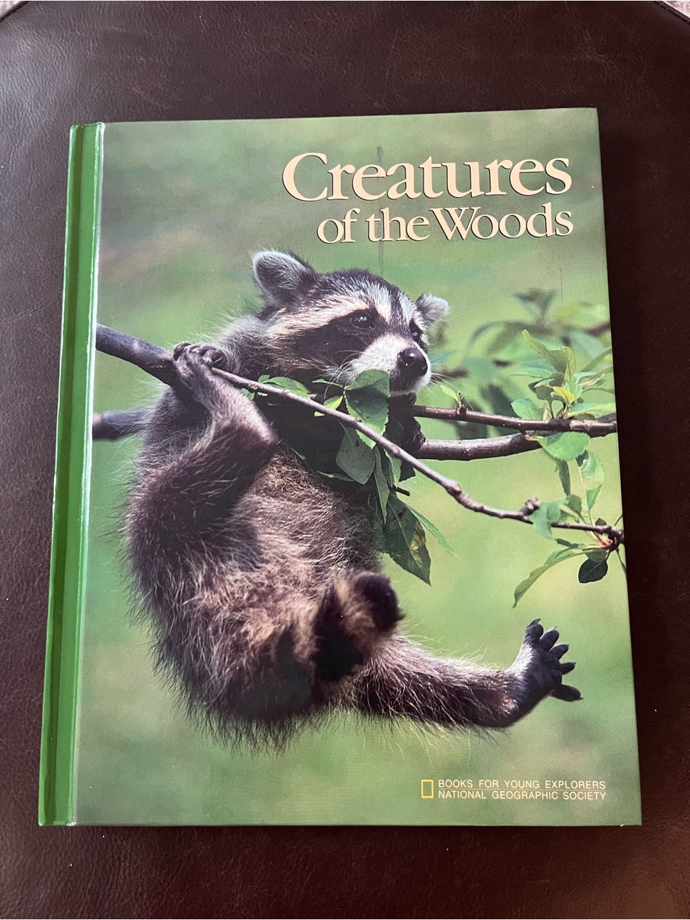 National Geographic Books for Young Explorers Creatures of the Woods HC 1985